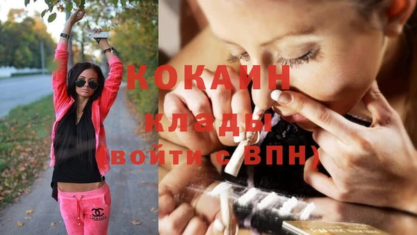 шишки Михайловск