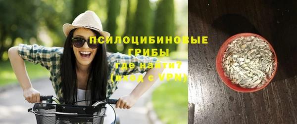 трава Заволжск