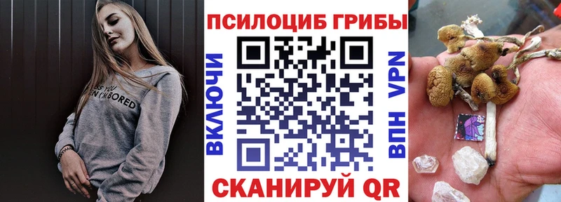 Псилоцибиновые грибы прущие грибы  Купить где  Кашира 