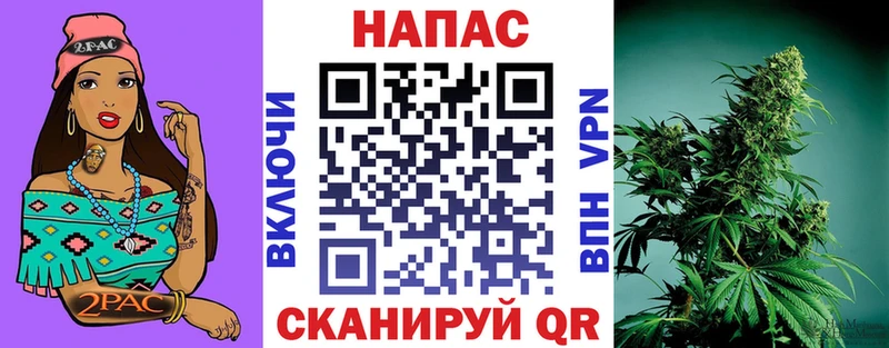Канабис гибрид  Купить  Кашира 